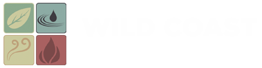 Wild Coast Costa Rica