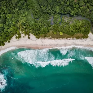 Wild Coast Costa Rica