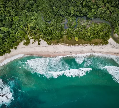 Wild Coast Costa Rica